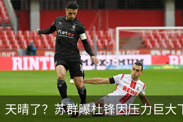 天晴了？苏群曝杜锋因压力巨大下课，5人或在广东队重新焕发生机